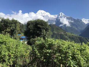 gruene-landschaften-khopra-trek-nepal-amnapurna