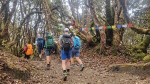 rhododendren-waelder-khopra-danda-trek-nepal
