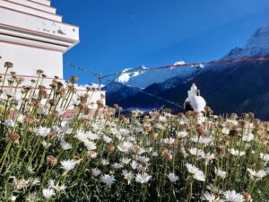 blumenfeld-annapurna-circuit-himalaya