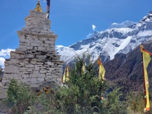 choerte-tilicho-lake-trek-khangsar