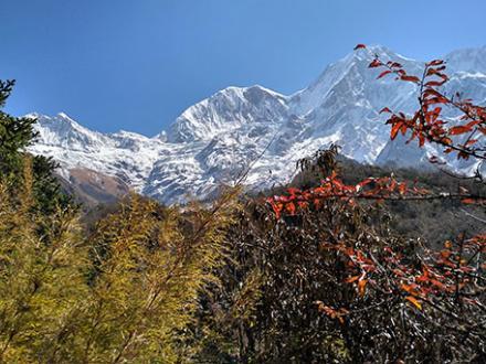 bimthang-treck-manaslu