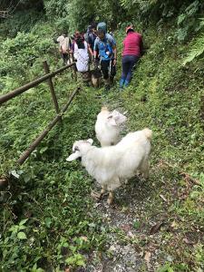 gruene-wege-khopra-danda-trekking-nach-corona